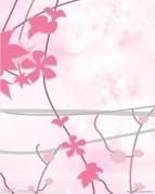 点击进入